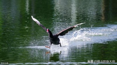 ​轻功到底是真是假