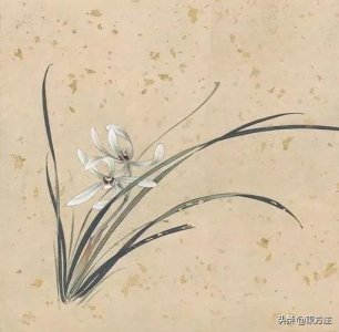 ​女性之美，美于气质，更美于内心