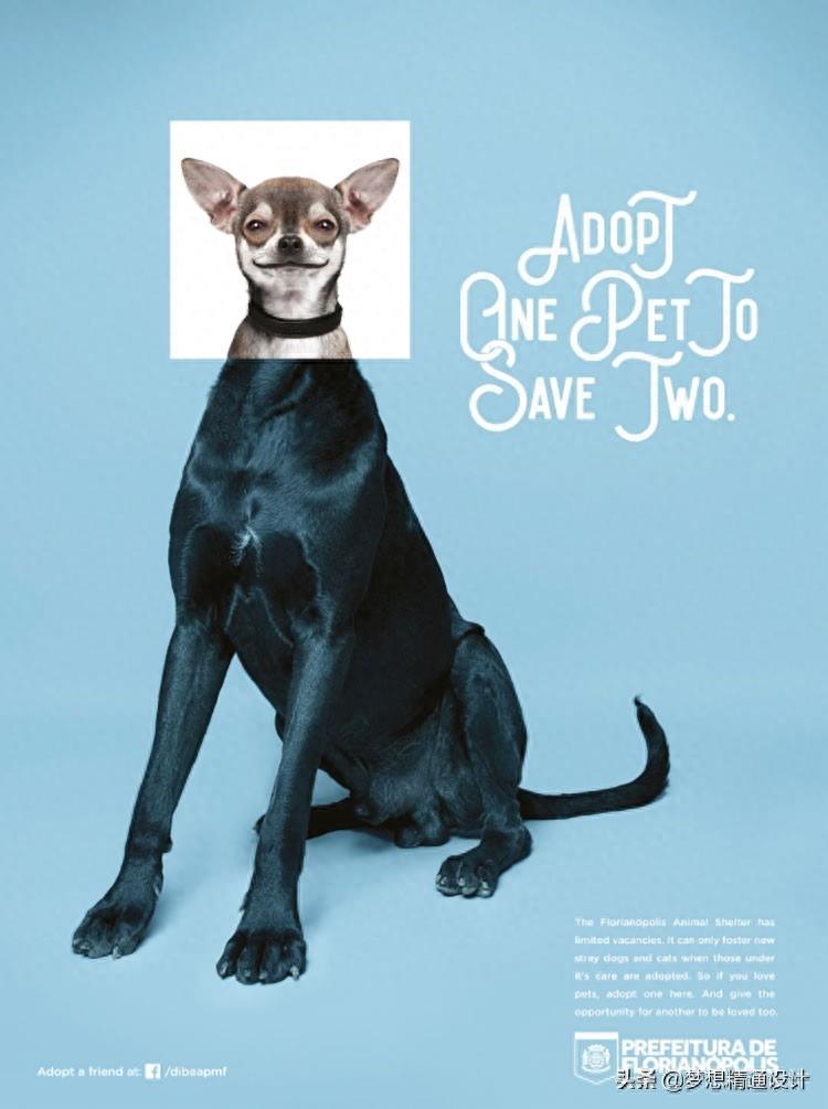 动物是人类的好朋友！14张动物保护公益海报