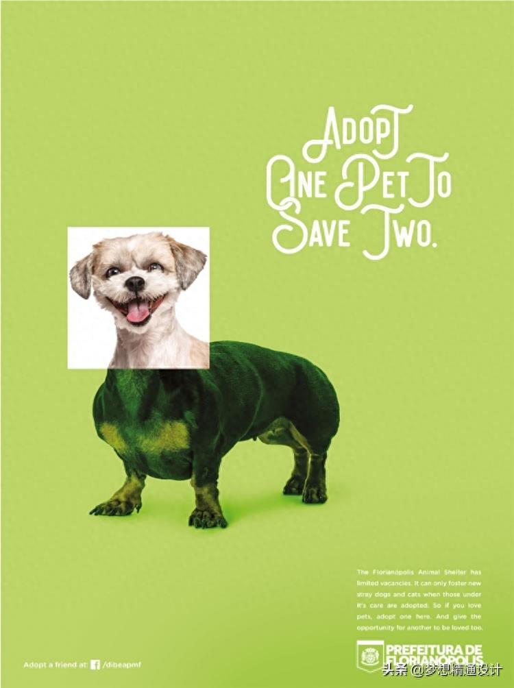 动物是人类的好朋友！14张动物保护公益海报