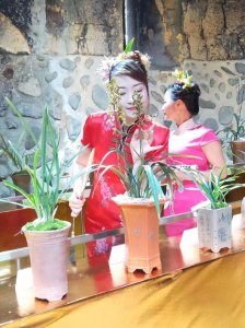 ​兰花吧用过的3个宣传语，有个太草率了，现在的请拍砖