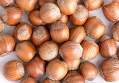 ​榛子和板栗有什么区别 榛子和板栗哪个好吃