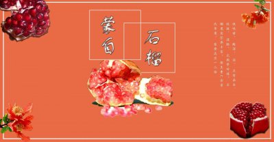 ​蒙自石榴的简介