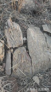 ​原来你是这样的鱼籽石！