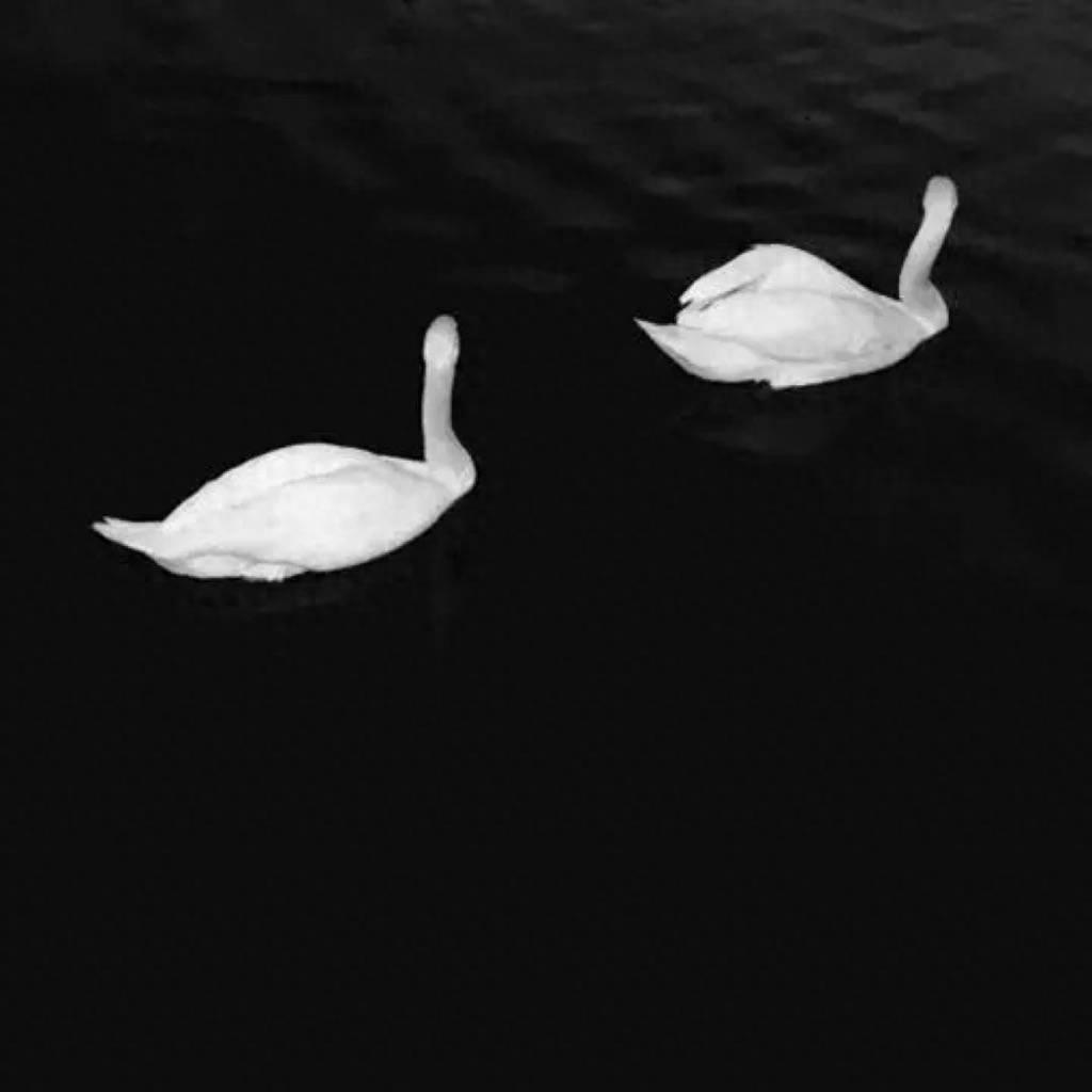 简约无水印黑白手机壁纸