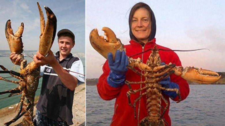 巨型食人鱼吃人太可怕！盘点世界上九大千年成妖巨型生物