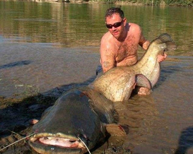 巨型食人鱼吃人太可怕！盘点世界上九大千年成妖巨型生物