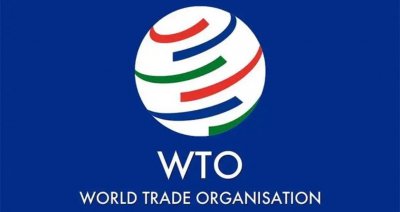 ​中国加入wto时，承诺了哪些？