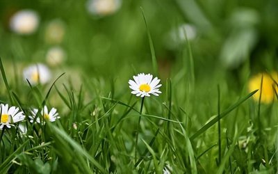 ​轻松筹怎么操作？流程是什么？了解清楚再发起，避免吃亏上当