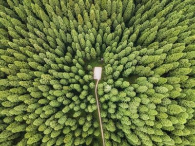 ​揭秘国内四大无人区：环境恶劣，生命禁区