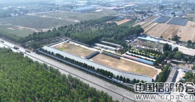 ​新阳光 新活力——唐山阳光国际赛鸽公棚（小棚）巡礼