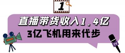 ​“涅槃重生”刘涛：分分钟收入1.4亿，日常代步用价值3亿私人飞机