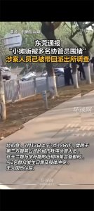 ​广东东莞协管员暴力围追群众，引发社会广泛关注