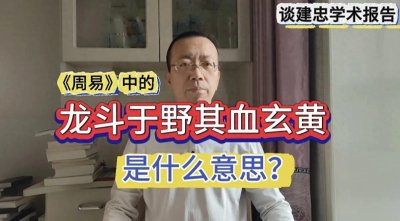 ​谈建忠：龙斗于野其血玄黄是什么意思（文字版）
