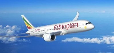 ​阿库纳玛塔塔！肯尼亚体验真实版《狮子王》