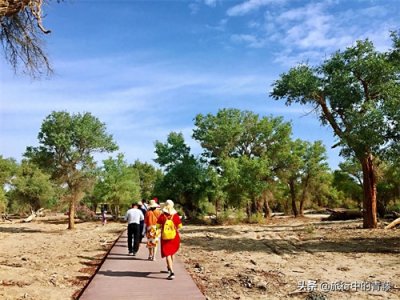 ​塔里木胡杨林公园，新疆最大的胡杨保护区，被称为沙漠英雄树