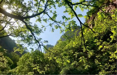 ​大美林州｜天平山