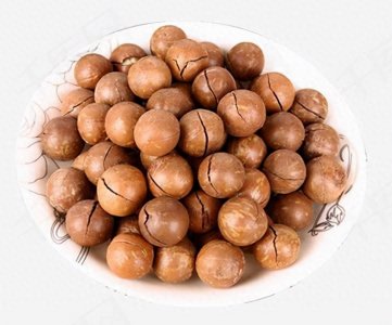 ​夏威夷果的来龙去脉