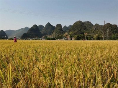 ​立冬时节来临，全国迎来降温！看看农谚咋说