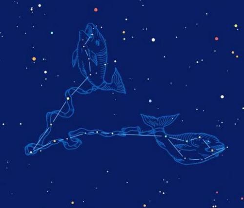 双鱼座流星雨简介，双鱼座流星雨寓意