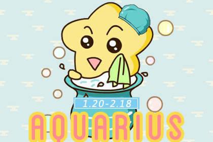 新历2月2日出生是什么星座