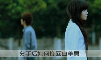 分手后如何挽回白属羊的男性