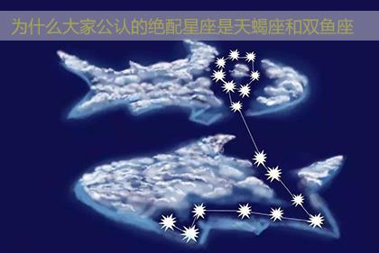 为什么大家公认的绝配星座是天蝎座和双鱼座
