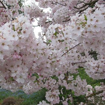 天蝎座男人得不到心爱的女人会怎样