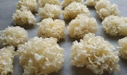 银耳熬不出胶有功效,银耳不出胶和出胶的营养区别在哪图3