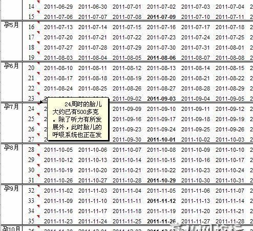 怀孕月份表查男女2022