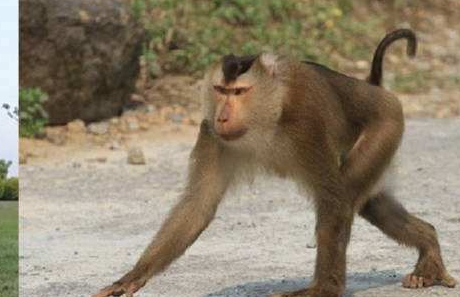 关于汉字的歇后语大全,关于汉字的歇后语图2