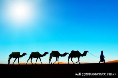 ​男士香水推荐24款（男士香水推荐行走的荷尔蒙）