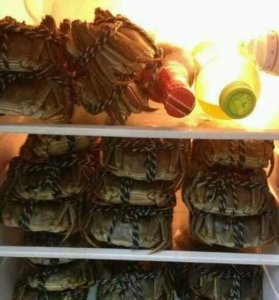​螃蟹冷藏三天还可以吃吗，海蟹放冰箱冷藏二天可以吃吗？