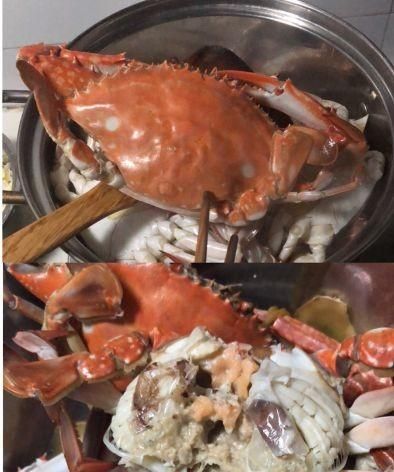 螃蟹冷藏三天还可以吃吗,海蟹放冰箱冷藏二天可以吃吗?图6