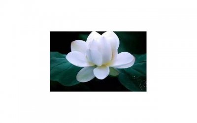 ​怎样知道女生暗恋你（女孩真正暗恋你的4个表现）