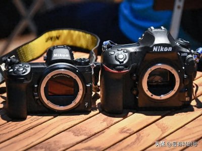 ​微单和单反相机的主要区别在哪里？新手应该如何进行选择？