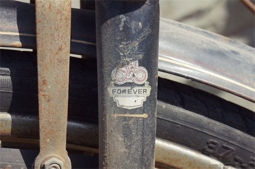 一辆永久牌自行车,承载了多少人的青春记忆!