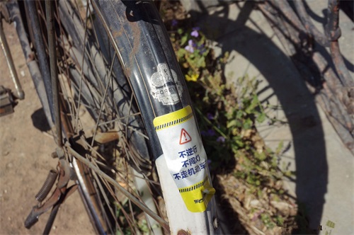 一辆永久牌自行车,承载了多少人的青春记忆!