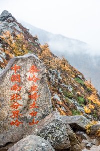 ​浅析子午谷奇谋