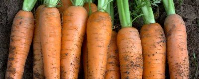 ​含胡萝卜素的食物有哪些