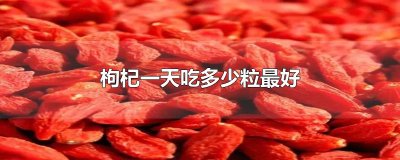 ​枸杞一天吃多少粒最好
