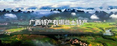 ​广西特产有哪些土特产