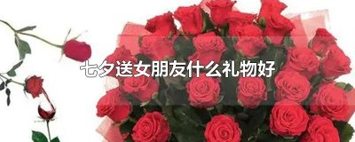 ​七夕送女朋友什么礼物好