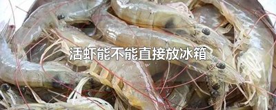 ​活虾能不能直接放冰箱