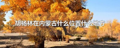 ​胡杨林在内蒙古什么位置什么地方