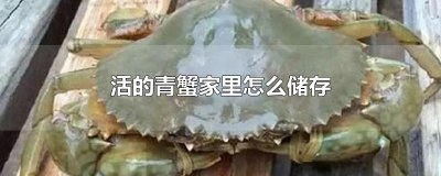 ​活的青蟹家里怎么储存