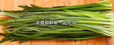 ​韭菜和虾能一起吃吗?