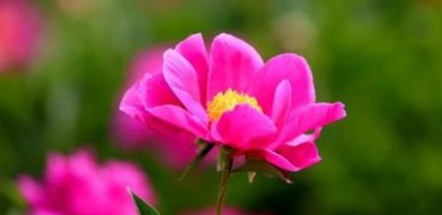 ​有哲理说说(以诚信待人别人也会真诚对你)