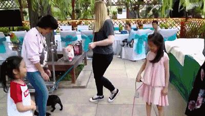 知情人透露贾乃亮李小璐已签字离婚,因有代言在身,暂时难以公开