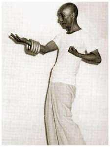 ​一代宗师，叶问